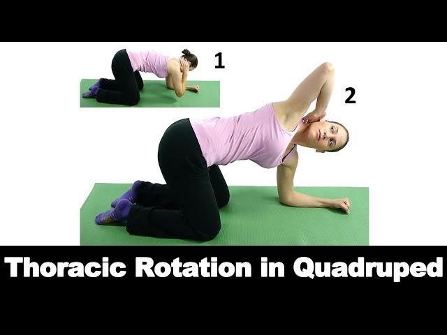 Thoracic Rotation in Quadruped - Ask Doctor Jo