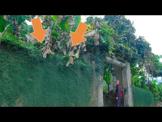 Clean Up Free 36 : Nice And Beautiful Cleaning Videos