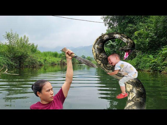 Harvesting Luffa Garden Goes to the market sell - Cooking