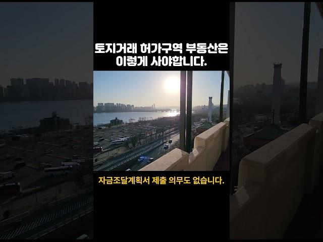 토지거래허가구역 물건은 경매로 사자