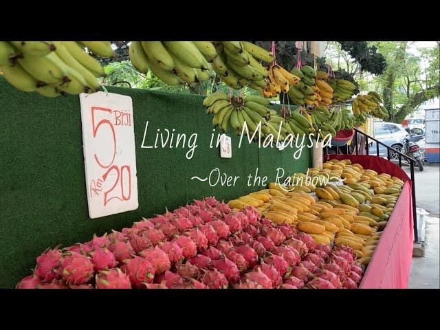 Kepong Baru Morning Market | KL Patrol | 【160】