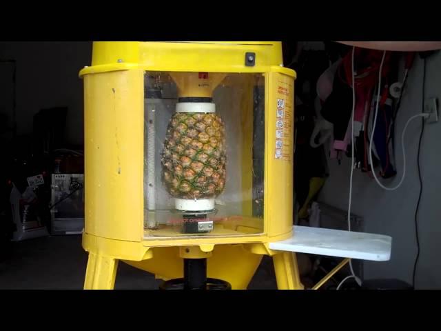 Del Monte Automatic Pineapple Peeler Corer Machine