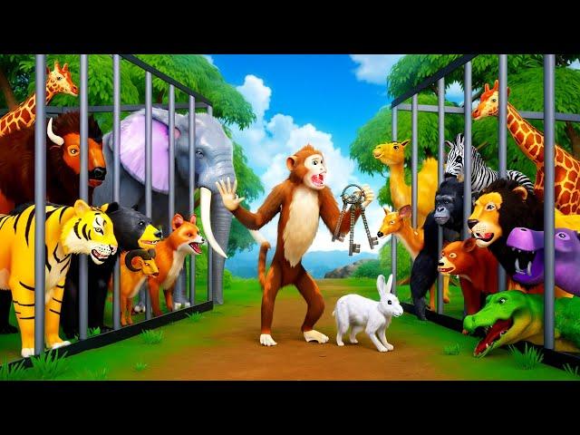 Funny Animals Zoo Escape Adventure: Monkey Elephant Hippo Tiger Lion Bison Cow Giraffe Cartoons