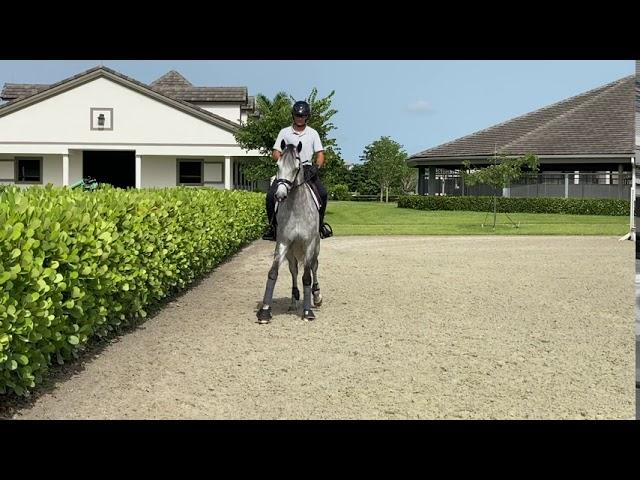 At Home with Glenbeigh Farm | Turn on the Haunches | Show Jumping Training Tips