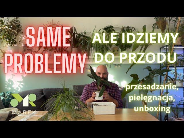 SAME PROBLEMY! Ale idziemy do przodu - ratowanie roślin i nietypowy unboxing paczki od Włodka