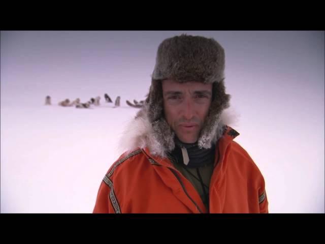 Top Gear Polar Special - The Problem with the Dogs