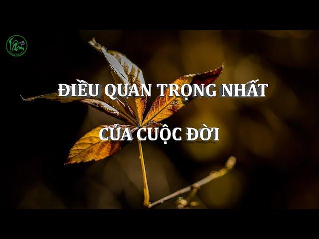 Lời hay ý đẹp | Điều quan trọng nhất của cuộc đời