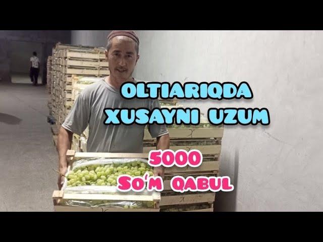 SHUHRATJON AGRO UZ  efirda!