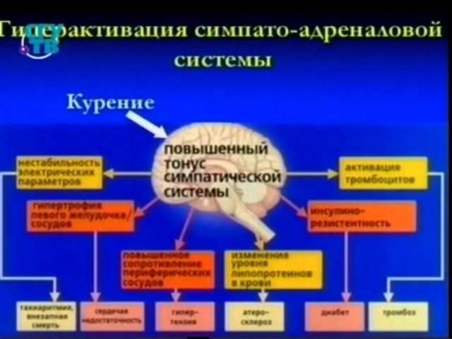 шаги к здоровью - не курение