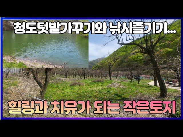 3천9백만원대 저수지를 품은 대지와 농지 매전면 청정지역 295