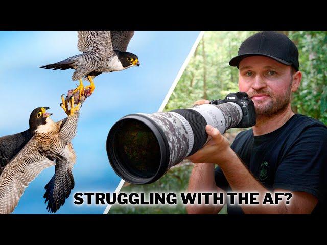 Why Your AUTOFOCUS Always FAILS (And How to Finally FIX IT!)