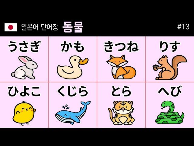 Japanese vocabulary 13: [animal] word 50 (動物)  どうぶつ