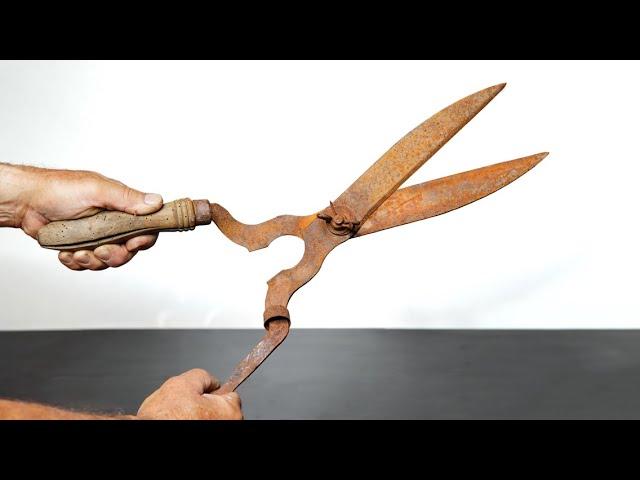 Rusty Hedge Shears Restoration