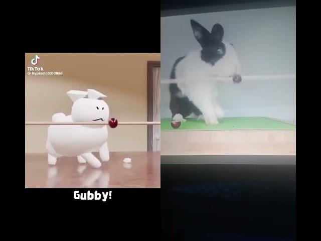 rabbit eating and falls overcredits to the owner: OneMorePlease