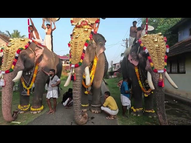 How beautiful elephants procession through the streets of Kunissery ayyappan vilakku