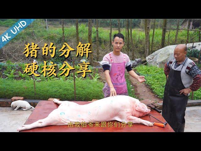 Chef Wang and his butcher uncle teaches u: How to butcher a whole pig, and each pork cut explained