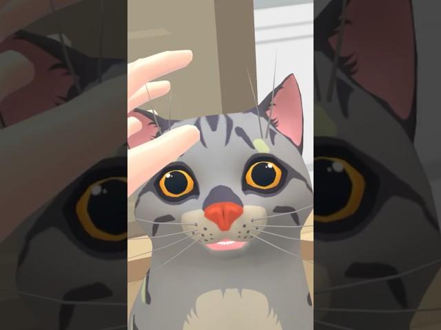 【ネコVR】️猫 vs 飼い主 part1 Cat Cafe VR #vr #game #funnyvideo