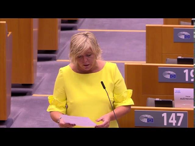 Hilde Vautmans 15 Sep 2020 plenary speech on Preparation of the Special European Council