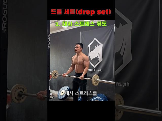 드롭 세트(drop set) #이두근 #드랍세트