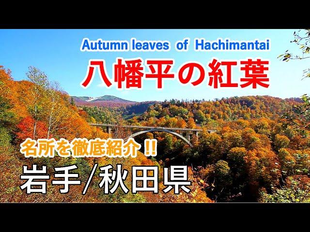 Autumn leaves of Mt. Hachimantai ( Iwate & Akita Prefecture ) / Spectacular Views of Japan