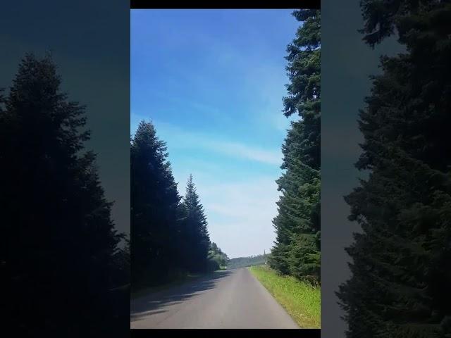 Drogi w Polsce  Bieszczady | Roads in Poland #shorts