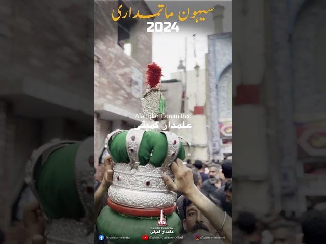 Sehwan Matamdari | 2024 