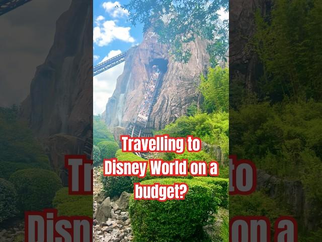 Travelling to Disney World on a budget? #disney #travelguide #traveling #travel #shorts