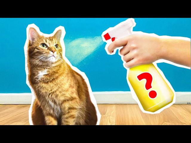 Testing Viral Cat Life Hacks You Won't Believe Are REAL!