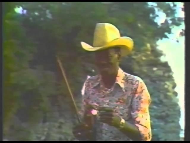 Clarence "Gatemouth" Brown in Nice, July 11, 1977