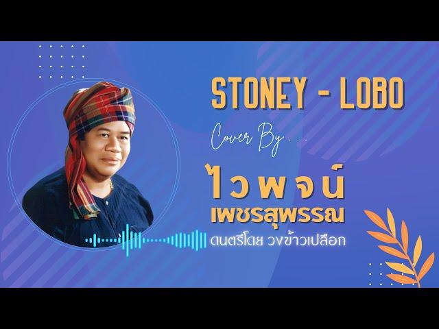 STONEY | สโตนีย์ - ไวพจน์ เพชรสุพรรณ Cover (ต้นฉบับ LOBO By วงข้าวเปลือก)