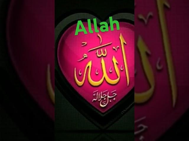 Rehan Ansari 143