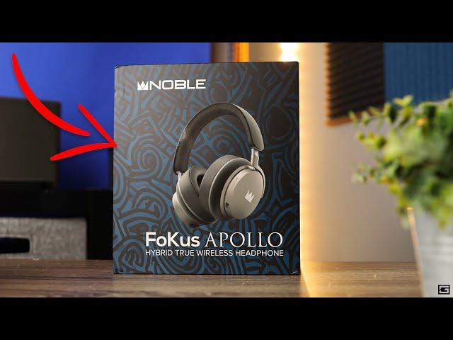 These Headphones Are Sold Out Everywhere! : FoKus Apollo