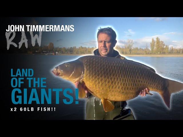 John Timmermans RAW | Public Lake Carp Fishing | October & The Land Of The Giants