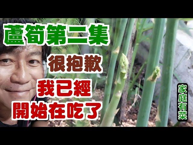 【家庭有菜】蘆筍第二集，蘆筍要種幾年才能收成啊？