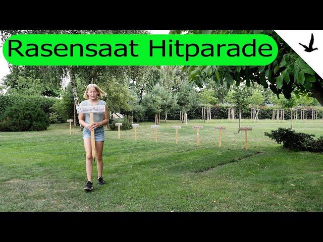 Rasensaat Hitparade Top 1111 Rasensaat Mischungen im Langzeittest. Rasen säen, düngen, schneiden.