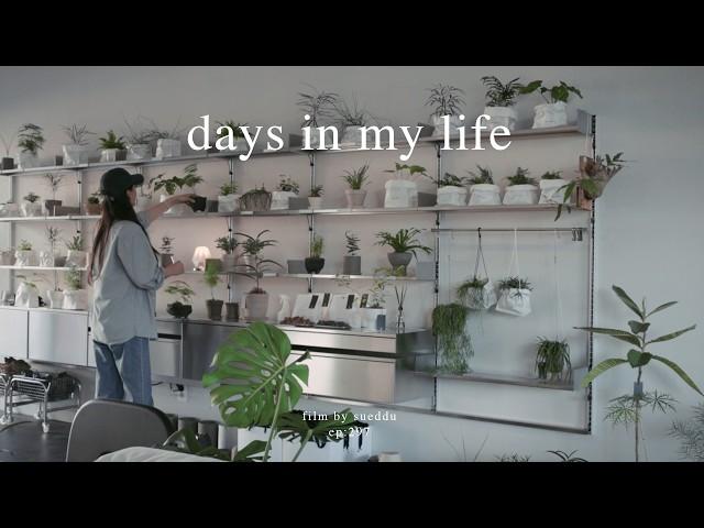 A Day in the Life of a Solo Shop Owner. Plant Store Owner's Vlog