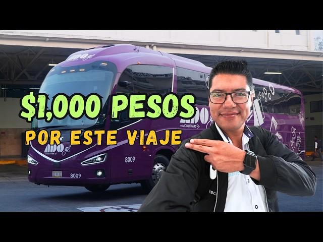 Viaje en el NUEVO ADO GL |Irizar i8 Efficient |Scania Nuväk|