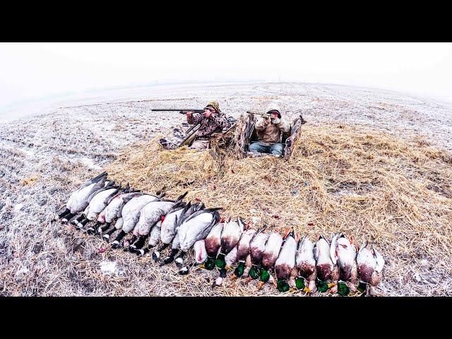 FROSTY ALBERTA WHEAT FIELD DUCK HUNT!