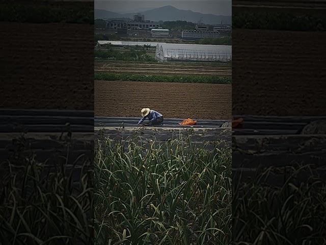 하루를 들판에서.                     #삶 #아버지