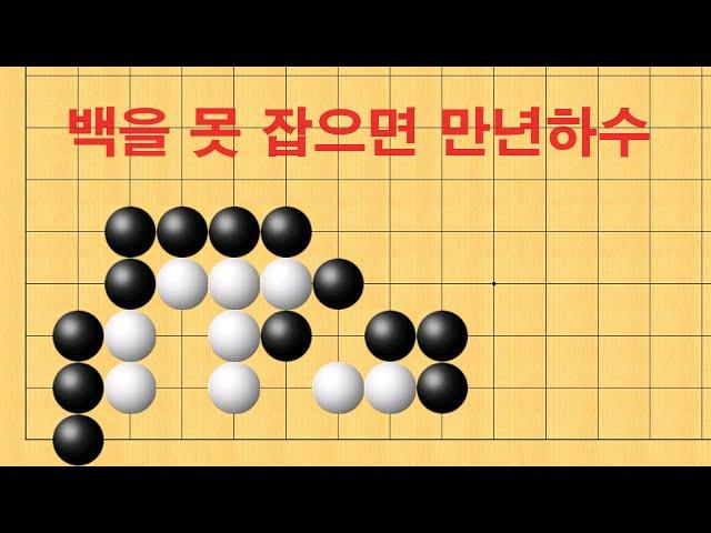 바둑 묘수 사활 - 백을 못 잡으면 만년하수에서 벗어 날 수 없습니다