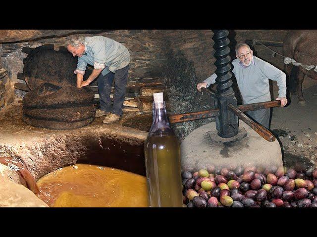 Oil. Traditional production in a century-old oil mill | Lost Trades | Documentary film