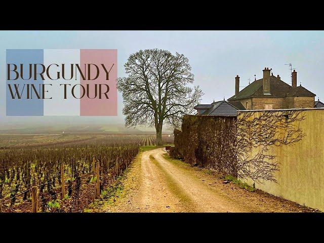 Burgundy France Wine Tour | Best Pinot Noir & Chardonnay In The World!!