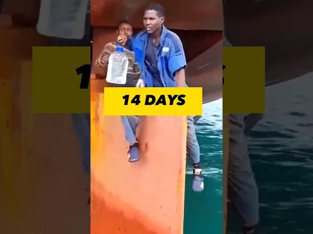 Why the Nigerians travels on ship rudder||#shorts