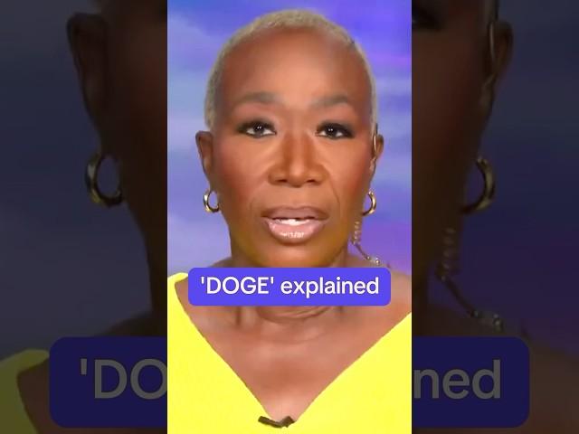 'DOGE,' explained