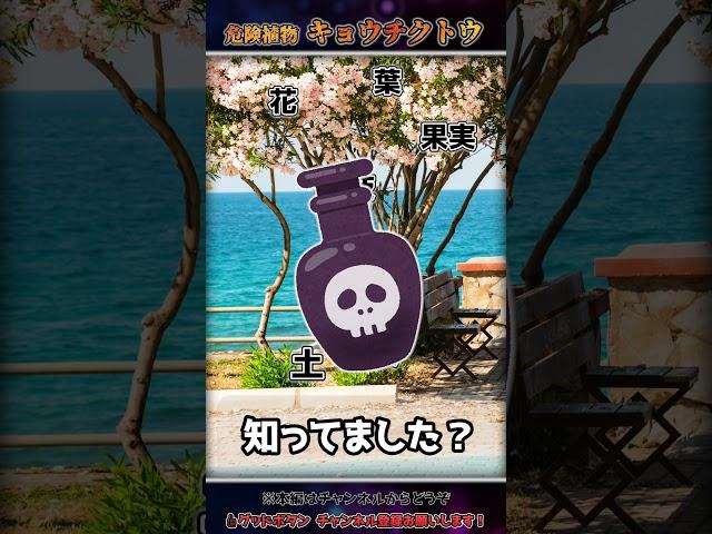 有毒植物「キョウチウトウ」って実は・・・ #Shorts