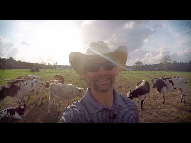 Should The Autoimmune Patient Eat Beef? (A Ranching Doctor's Perspective)