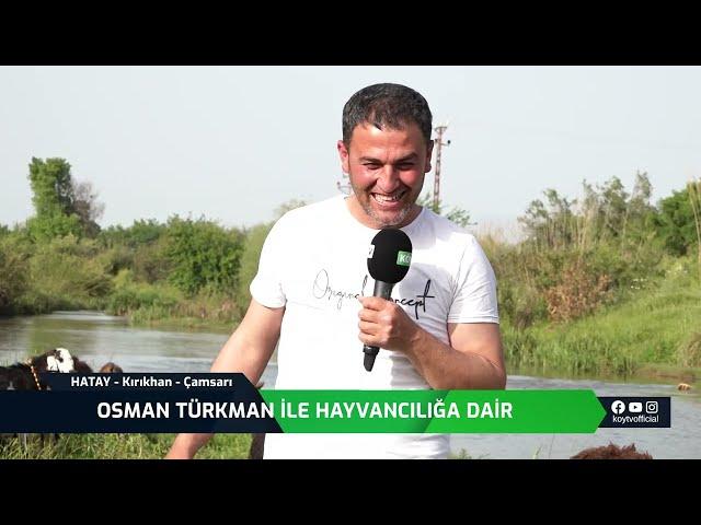 OSMAN TÜRKMAN İLE HAYVANCILIĞA DAİR - HATAY - KIRIKHAN - ÇAMSARI