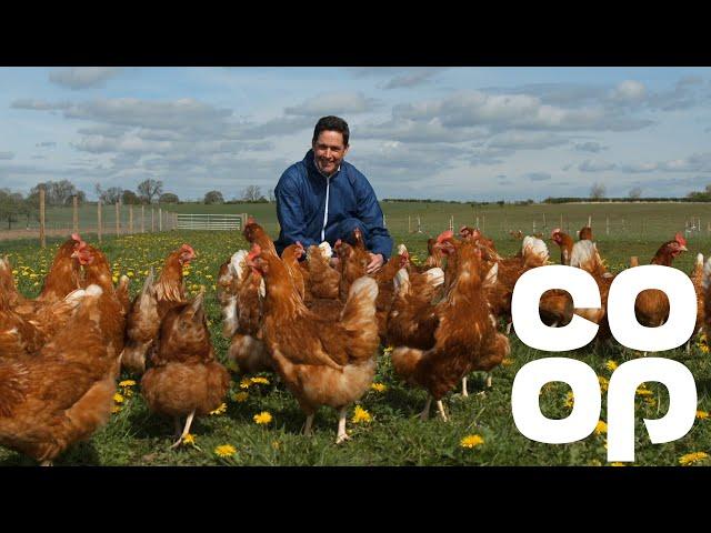 Co-op Food | Meet the Producer - Free Range Eggs