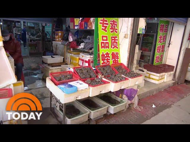 WHO Scientist: Wuhan Wet Market Likely Played Role In Coronavirus Development | TODAY