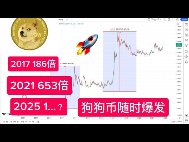 DOGECOIN DOGE 2025 价格预测！ 2017年涨190倍、2021年涨650倍 2025年涨？